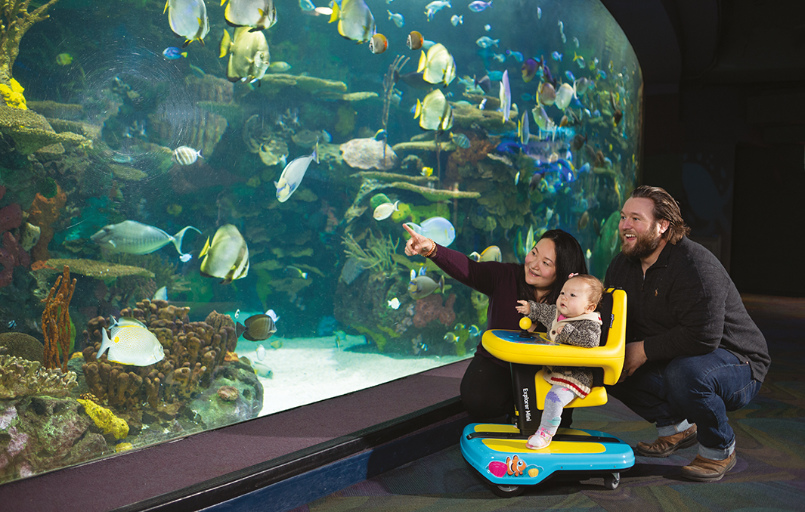 Explorer Mini_FiNiFuchs Permobil Kinderrollstuhl Explorer Mini_FiNiFuchs Permobil Kinderrollstuhl